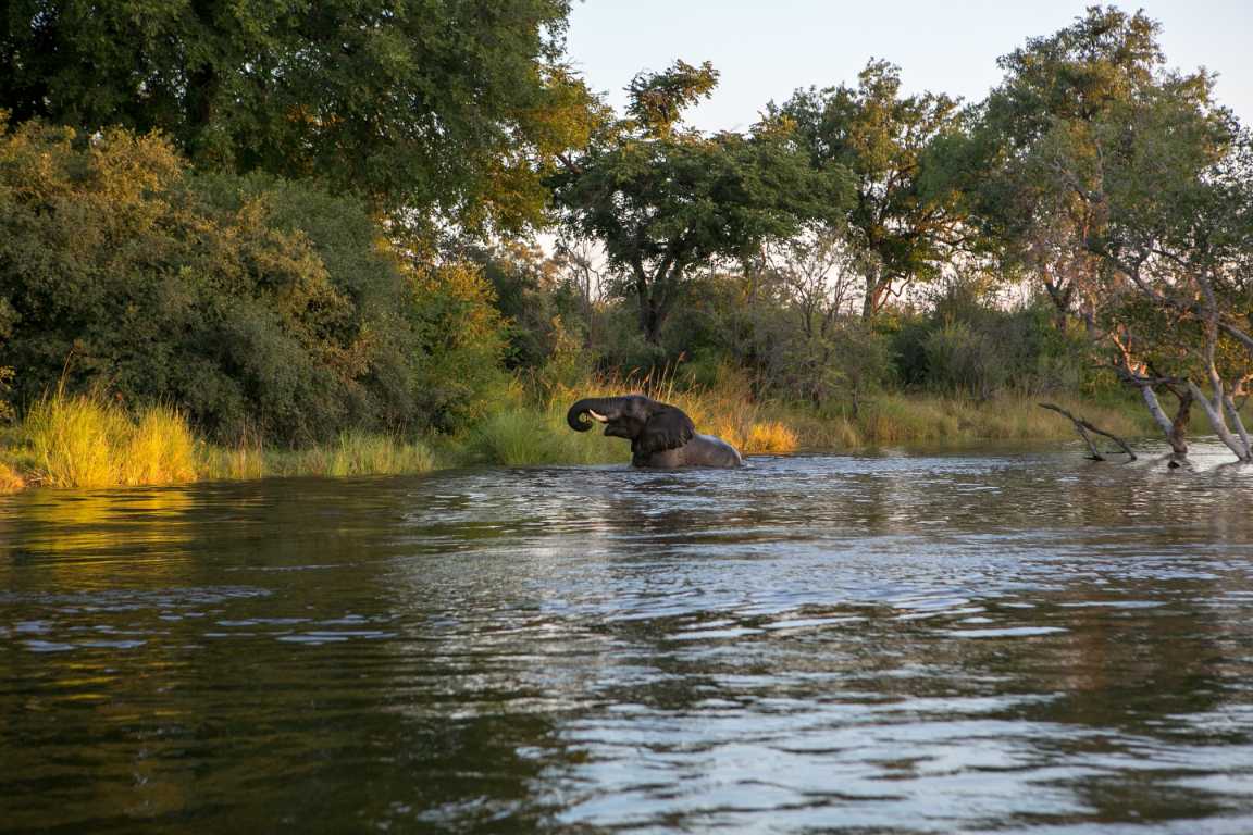 Amazon Zambia - Does Amazon ship to Zambia?
