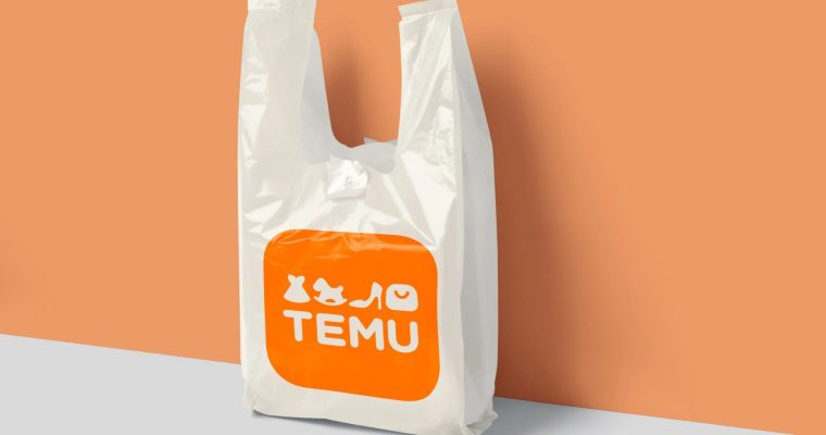 Does Temu Ship To India? Yes, Here’s How